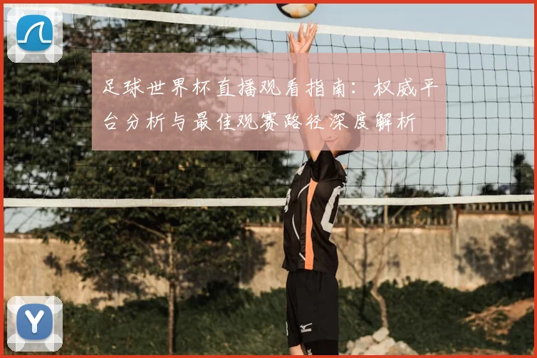 足球世界杯直播观看指南：权威平台分析与最佳观赛路径深度解析