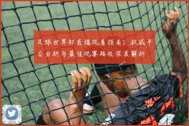 足球世界杯直播观看指南：权威平台分析与最佳观赛路径深度解析